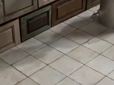 FS by Peronda Fs Original