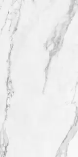 COLORKER INSIGNIA WHITE RECT. MATE 59.5х119.2 M-86