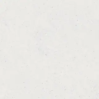 PORCELANOSA PRADA WHITE L 59.6х59.6 G-354