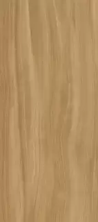 PORCELANOSA XLIGHT EWOOD CAMEL NATURE 04 120х270 G-2700