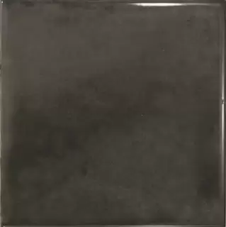 EQUIPE SPLENDOURS BLACK 15х15 EQ-3