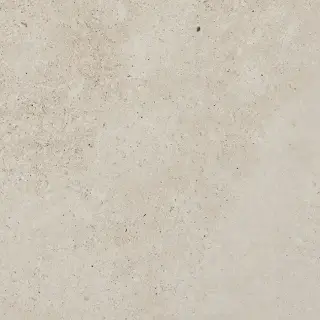 PORCELANOSA BERNA CALIZA L 120х120 G-392