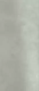 MIRAGE DELIGHT CL 02 SP SQ 120х278х6