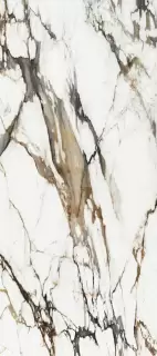 PORCELANOSA XLIGHT PAONAZZO BIONDO BOOKMATCH B POLISHED 120х270 G-2505