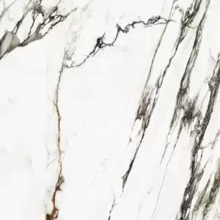 PORCELANOSA XLIGHT PAONAZZO BIONDO POLISHED 120х120х6 G-2531