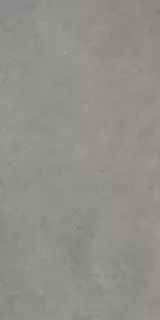 MIRAGE GRIS CATALAN EY 04 NAT SQ 60х120х9