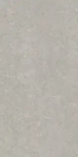 PERONDA GHENT GREY AS 60х120 BN-116