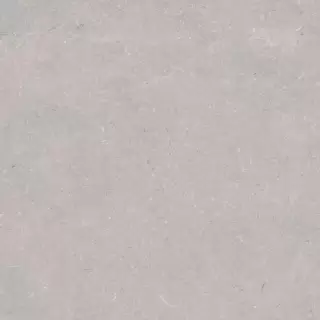 PORCELANOSA CORAL ACERO L 120х120 G-392