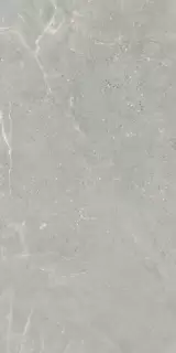 PERONDA ALCHEMY IRON AS 60х120x0.9 BN-116