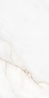 MUSEUM DAHLIA WHITE EP 60х120 M-40