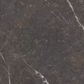 MUSEUM ROYAL BROWN SP 100х100x0.8 M-79