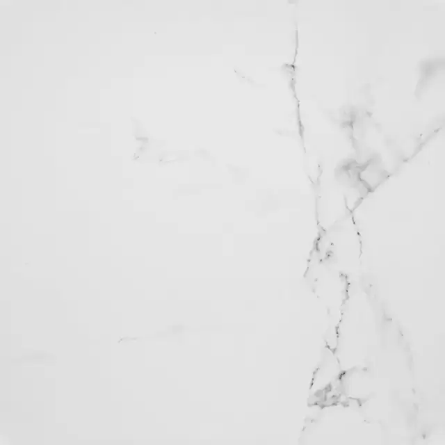 PORCELANOSA CARRARA BLANCO BRILLO L 59.6х59.6 G-347