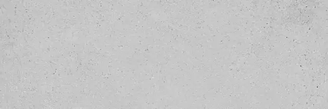 PORCELANOSA DOVER ACERO 33.3х100 G-261