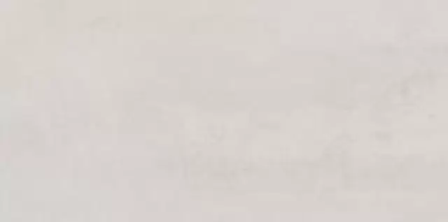 PORCELANOSA FERROKER PLATINO 59.6х120 G-369