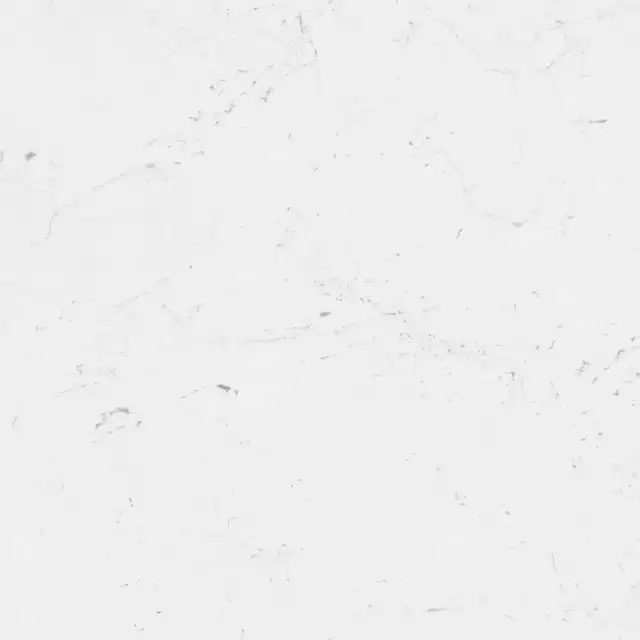 PORCELANOSA FONTANA MATT L 120х120x8 G-392