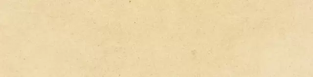 HARMONY NIZA MUSTARD 9.2х37 Q-30