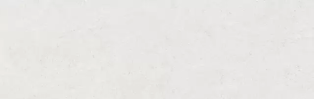 COLORKER VERONA WHITE 31.6х100 M-75