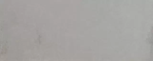 PORCELANOSA STEEL ACERO 59.6х150 G-276