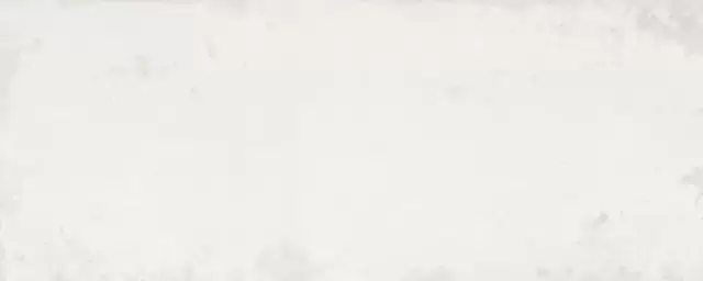 PORCELANOSA STEEL BONE 59.6х150 G-276