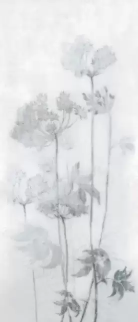 MIRAGE ESPOIR FROID LUC SQ 120х278х0.6