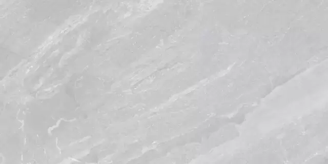 MUSEUM MAINSTONE DOLPHIN 60х120 NT M-66