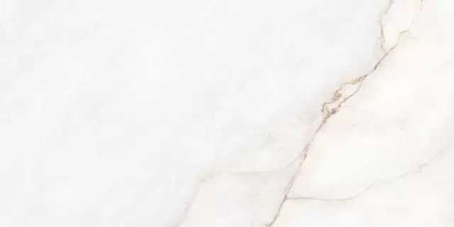 MUSEUM DAHLIA WHITE EP 60х120 M-40