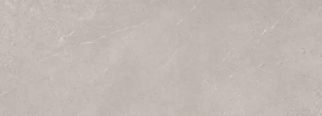 MUSEUM PIEMONTE TAUPE SP 100х275 M-95