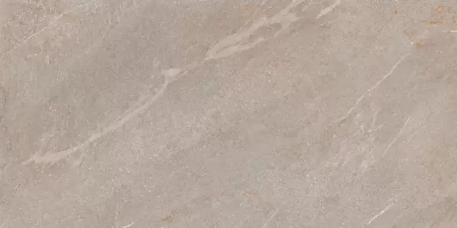 COLORKER DHARA TAUPE MATE 59.5х119.2 M-83