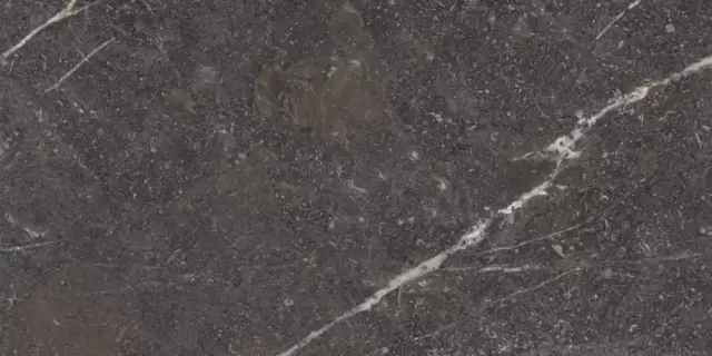 MUSEUM ROYAL BROWN SP 60х120x0.9 M-101