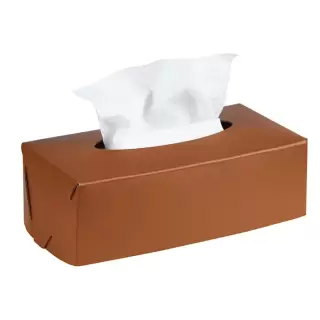 Colombo Adj Салфетница Kleenex, 23x12H7,5 см, цвет: коньяк/бордо