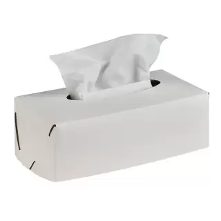 Colombo Adj Салфетница Kleenex, 23x12H7,5 см, цвет: белый/панна котта