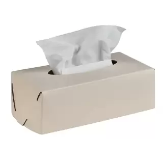 Colombo Adj Салфетница Kleenex, 23x12H7,5 см, цвет: панна котта/белый