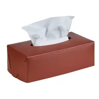 Colombo Adj Салфетница Kleenex, 23x12H7,5 см, цвет: бордо/коньяк
