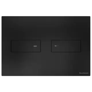 Artceram INOX Смывная клавиша, цвет: черный матовый