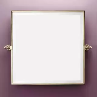 Devon&Devon First Class Зеркало поворотное 61х51 см, цвет: золото