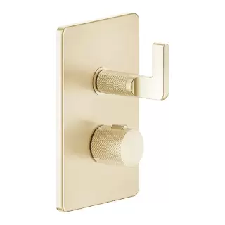 Gessi Inciso Смеситель для душа, термостатический, на 2 источника, внешняя часть, цвет: золото