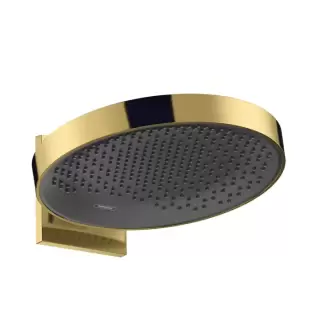 Hansgrohe Rainfinity Верхний душ 360 1jet с настенным креплением, цвет: полированное золото