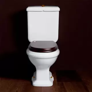 SIMAS Arcade Унитаз моноблок 36,5х68,5см, выпуск в стену, с фурнитурой, цвет: белый/бронза