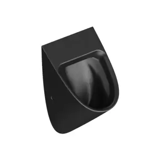 Catalano Писсуар 54x30см Rimless, с отв. под крышку, цвет: черный матовый