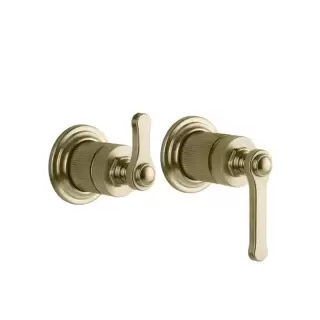 Gessi Venti20 Смеситель для душа, встраиваемый, с переключателем на 2 положения, внешняя часть, цвет: Brushed Brass PVD