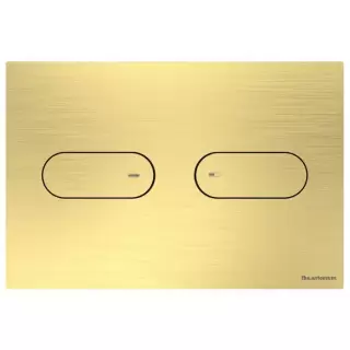 Artceram Клавиши смыва Смывная клавиша INOX-711, цвет: латунь браширванная PVD