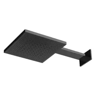 Almar Velvet Rain Верхний душ 30х30см., настенный, 2 режима, цвет: черный металл брашированный PVD