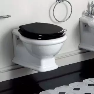 SIMAS Lante Унитаз подвесной безободковый "Rimless", 53х38,5см, цвет: белый