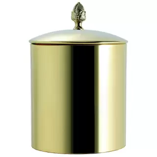TW SSS6501, ведро с крышкой диаметр 22 x h29см, материал латунь, напольное, цвет: золото