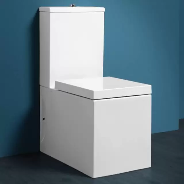 SIMAS Frozen Унитаз моноблок 37,5х61см, с бачком, цвет: белым