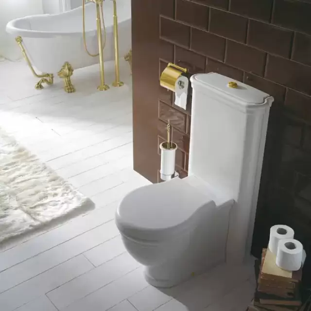 Globo Paestum Унитаз напольный пристенный 57х38см с бачком и механизмом, цвет: белый/золото