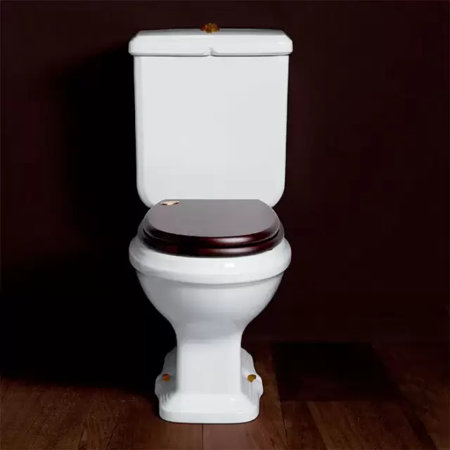 SIMAS Arcade Унитаз моноблок 36,5х68,5см, выпуск в стену, с фурнитурой, цвет: белый/бронза