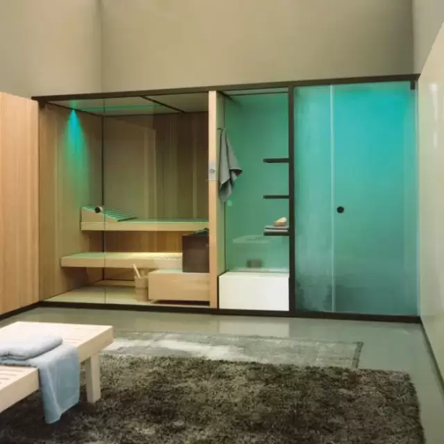 Effegibi BodyLove SH Front Сауна&Хаммам 393x176x220см, пристенная, цвет: термообработанная древесина/гладкое стекло