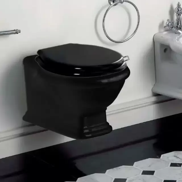 SIMAS Lante Унитаз подвесной безободковый "Rimless", 53х38,5см, цвет: черный глянцевый