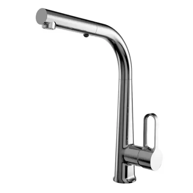 Carlo Frattini Kitchen Смеситель для кухни с выдвижной лейкой, цвет: хром